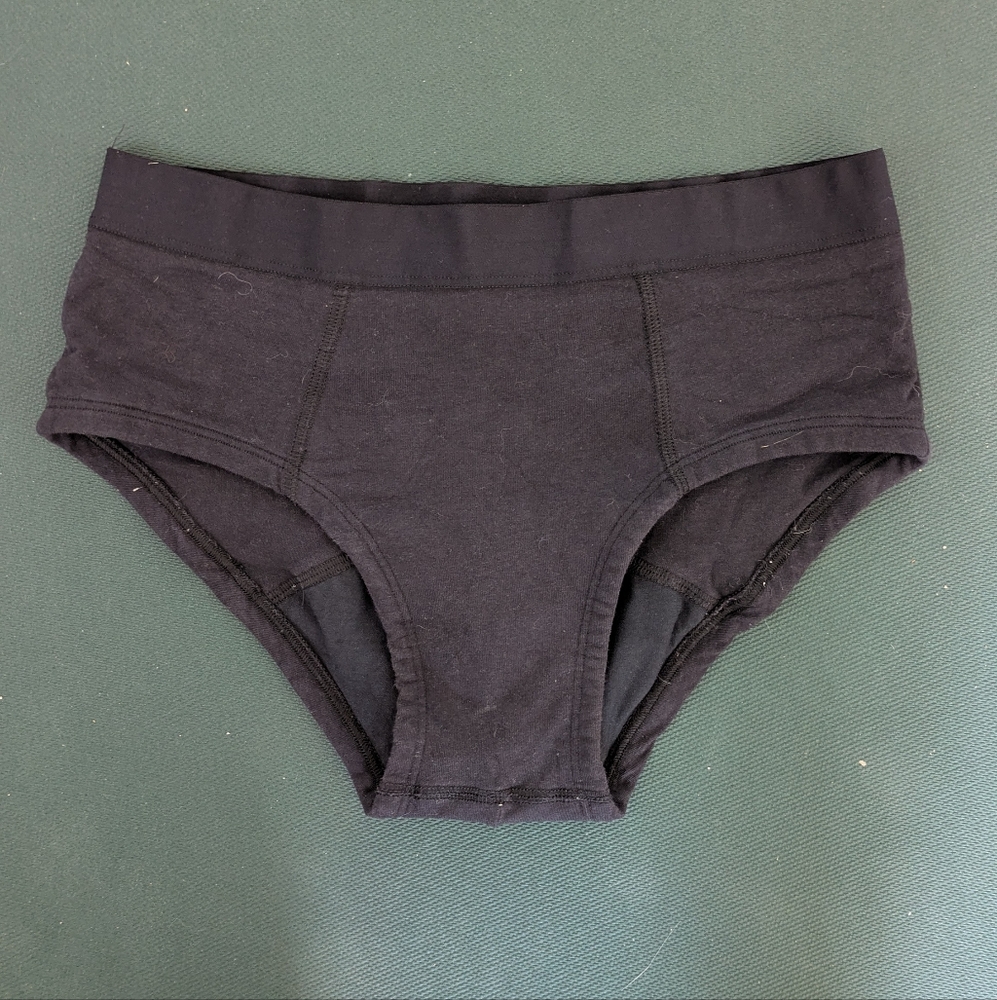 Thinx Brief
